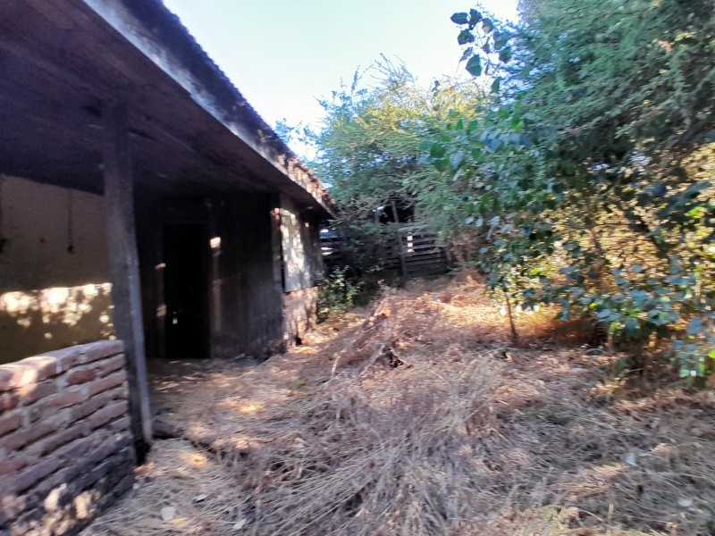 Terreno Sector Lo Figueroa