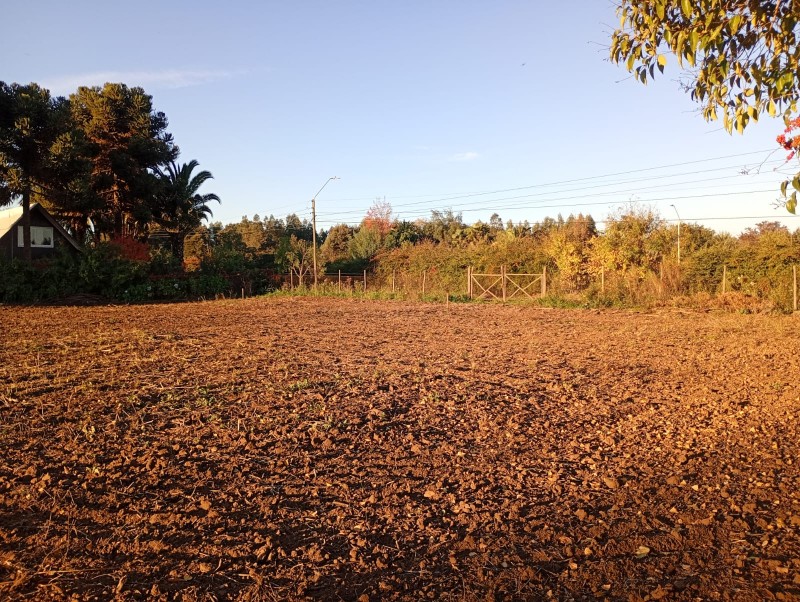 Se Venden Terrenos Urbanos en Aurora de San Clemente