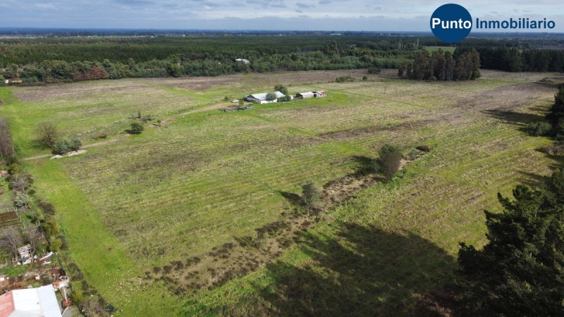 Fotografía de Apto Avellano Europeo y Agricultura en General
