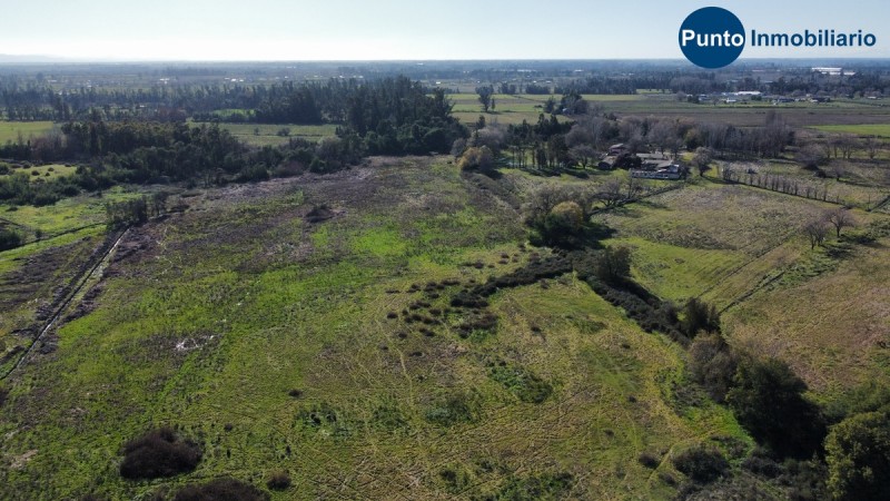 Terreno Industrial Futuro Nuevo Acceso Chillán