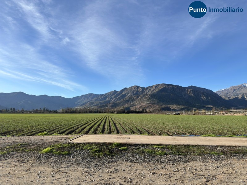 Campo Apto Frutales en Catemu