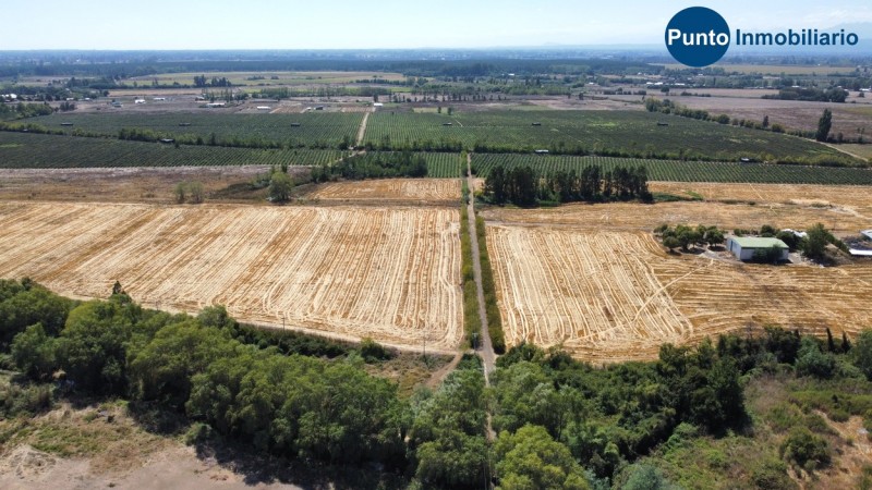 Excelente Campo Frutícola en Coihueco