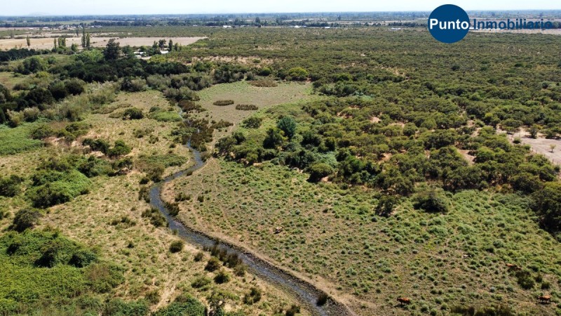 Campo Secano Gran Conectividad
