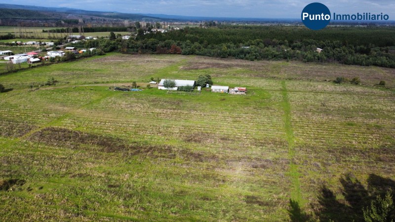 Apto Avellano Europeo y Agricultura en General