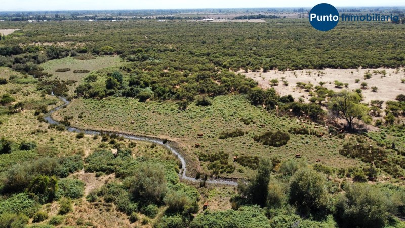 Campo Secano Gran Conectividad