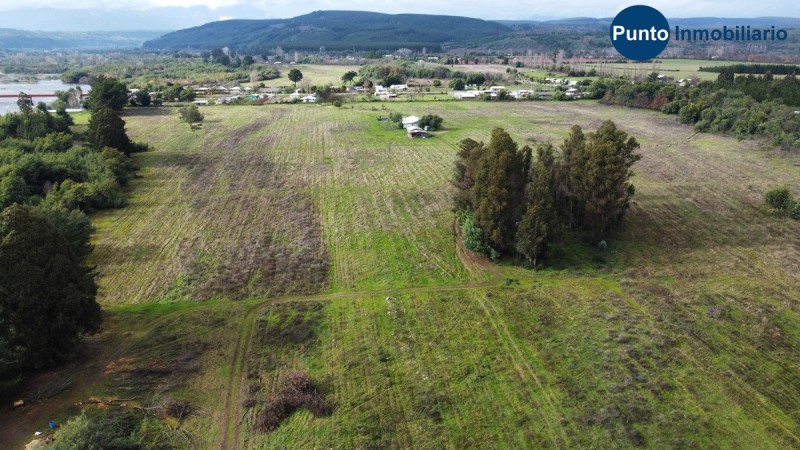 Apto Avellano Europeo y Agricultura en General