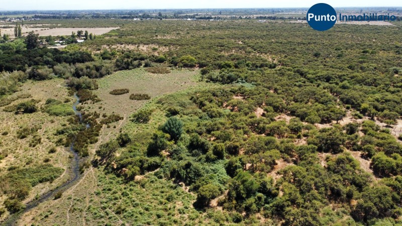 Campo Secano Gran Conectividad