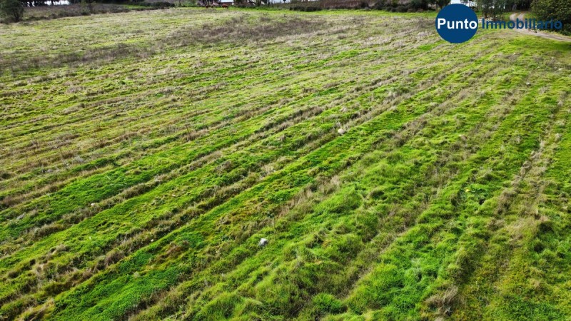 Apto Avellano Europeo y Agricultura en General