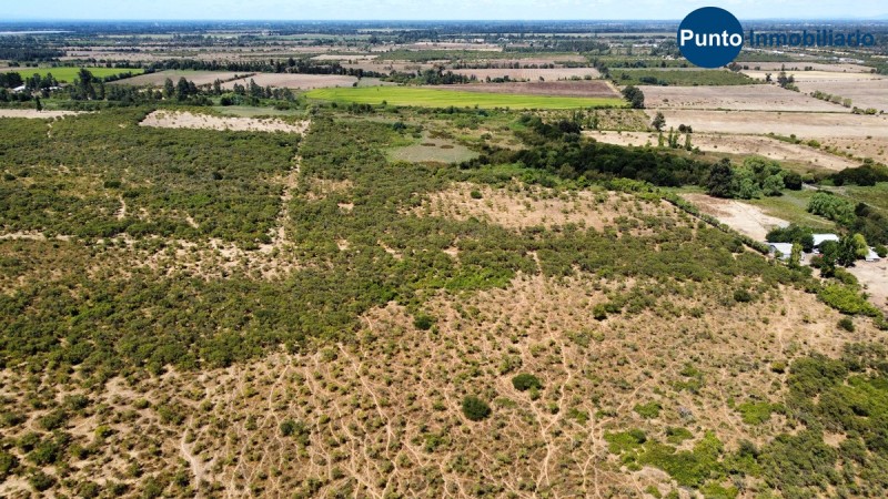 Campo Secano Gran Conectividad