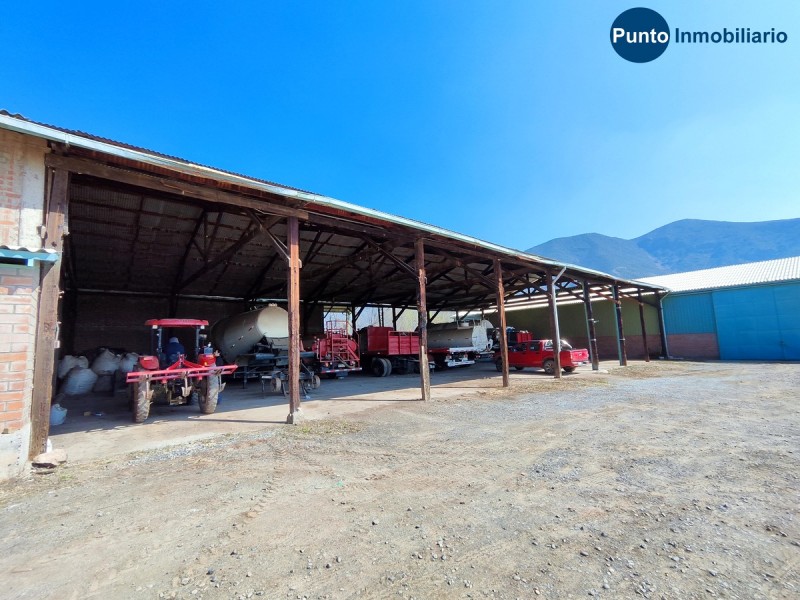 Campo Apto Frutales en Catemu