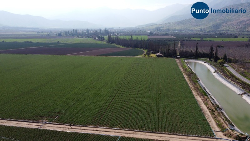 Campo Apto Frutales en Catemu