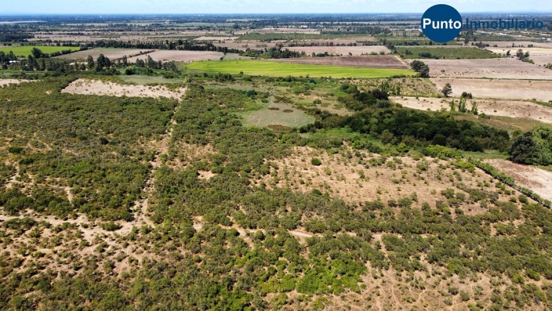 Campo Secano Gran Conectividad