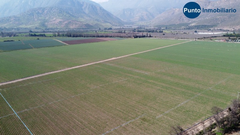 Campo Apto Frutales en Catemu