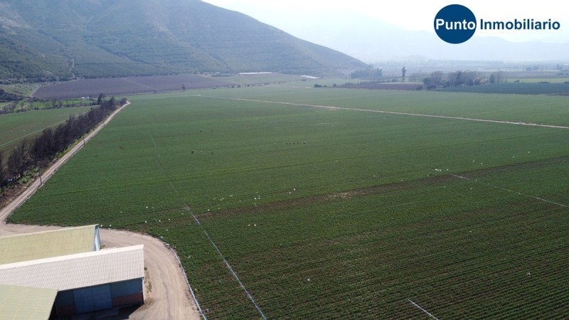 Campo Apto Frutales en Catemu