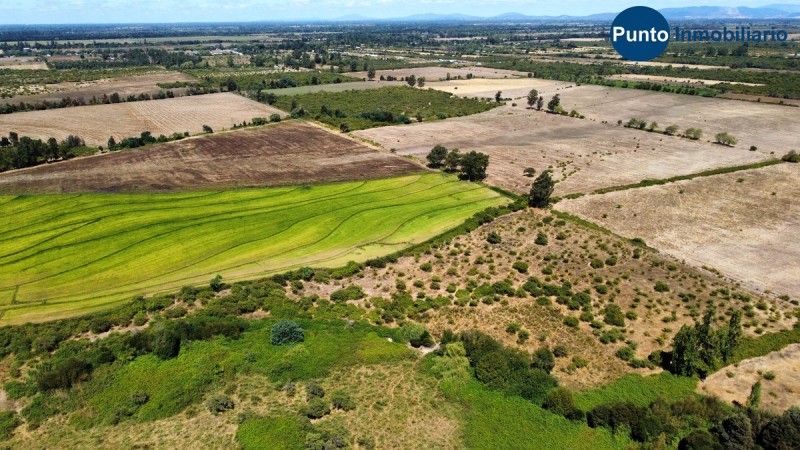 Campo Secano Gran Conectividad