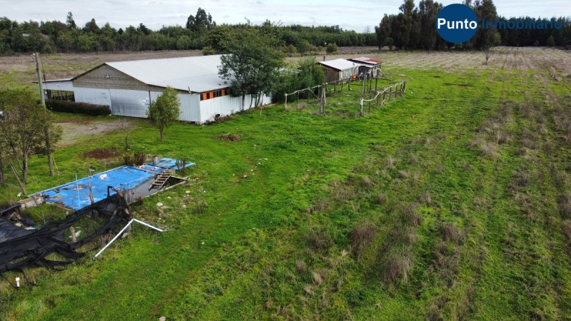 Apto Avellano Europeo y Agricultura en General