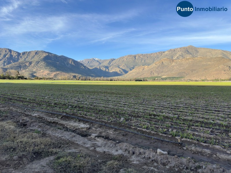 Campo Apto Frutales en Catemu