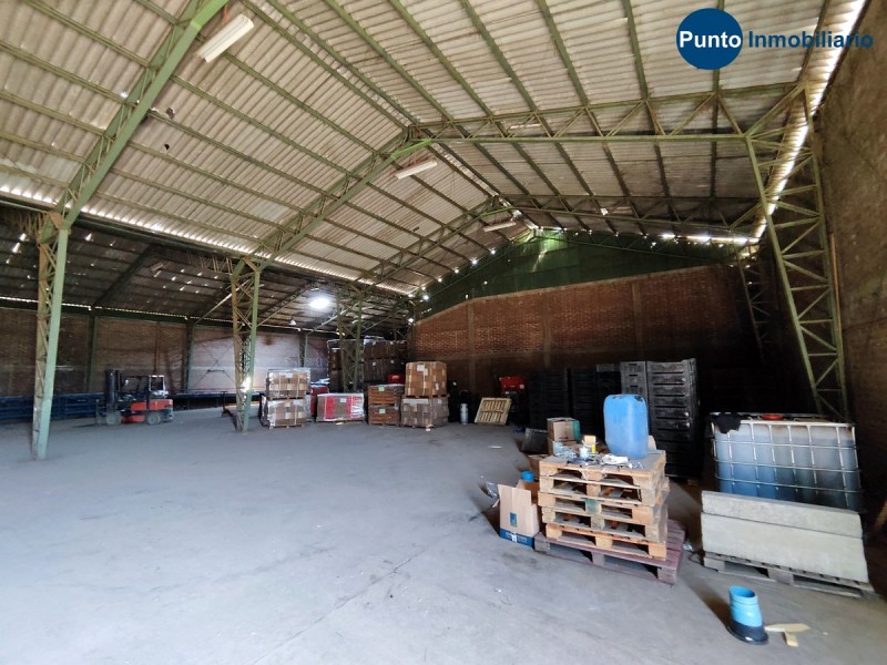 Campo Apto Frutales en Catemu