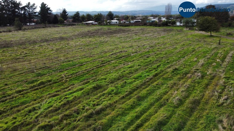 Apto Avellano Europeo y Agricultura en General