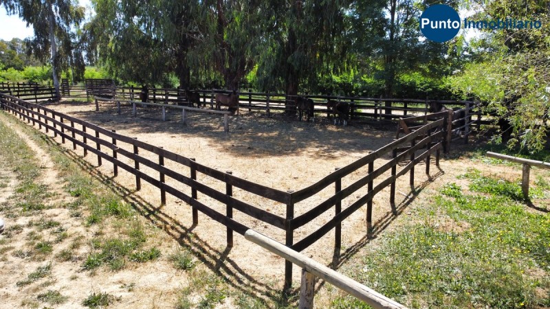 Parcela 8,5 Has Loteado + Casas + Caballerizas