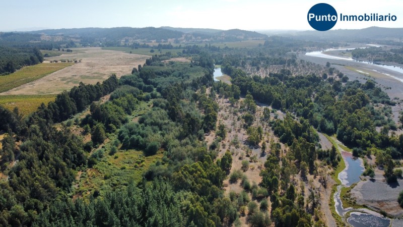 Fundo Colindante Río Ñuble