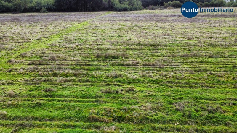Apto Avellano Europeo y Agricultura en General
