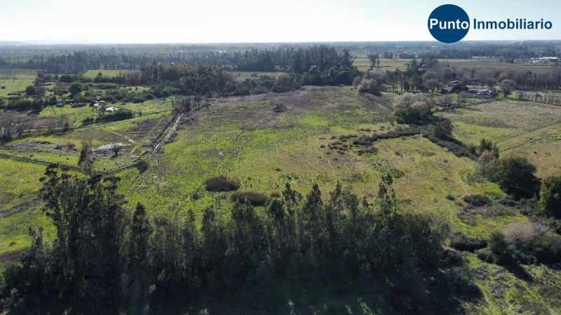 Terreno Industrial Futuro Nuevo Acceso Chillán