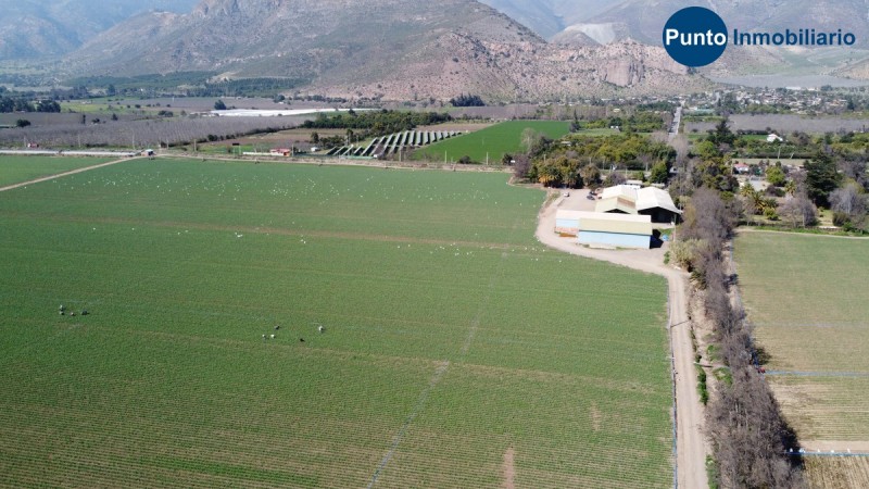 Campo Apto Frutales en Catemu