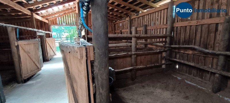 Parcela Con Cabaña + Caballerizas