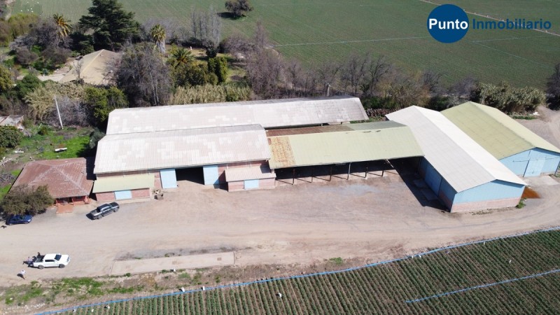 Campo Apto Frutales en Catemu