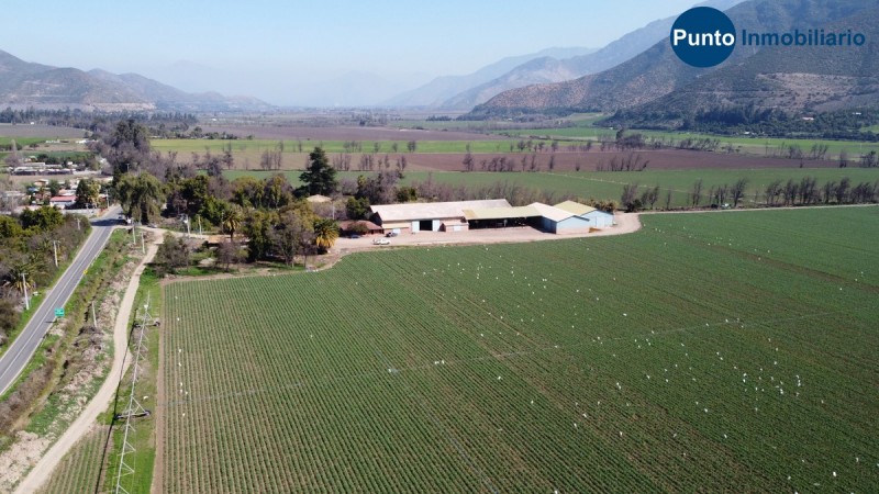 Campo Apto Frutales en Catemu