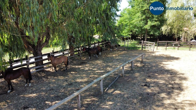 Parcela Con Cabaña + Caballerizas