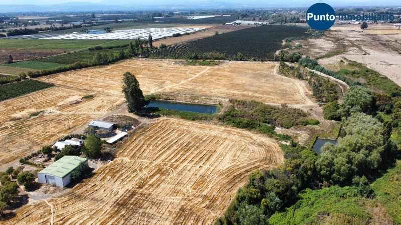 Excelente Campo Frutícola en Coihueco