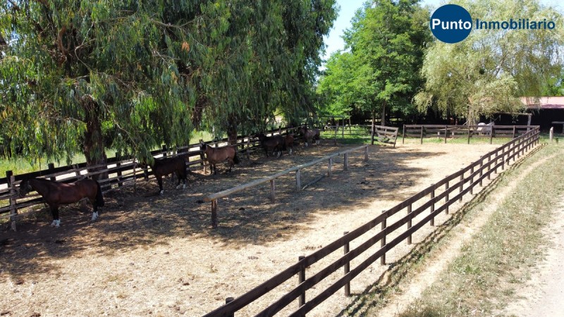 Parcela Con Cabaña + Caballerizas