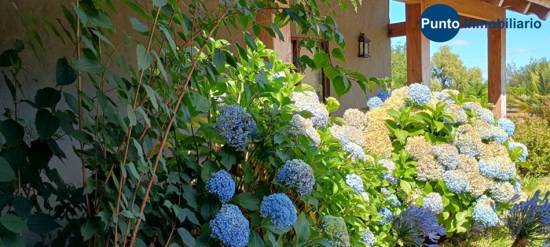 Casa Estilo Chilena Coihueco