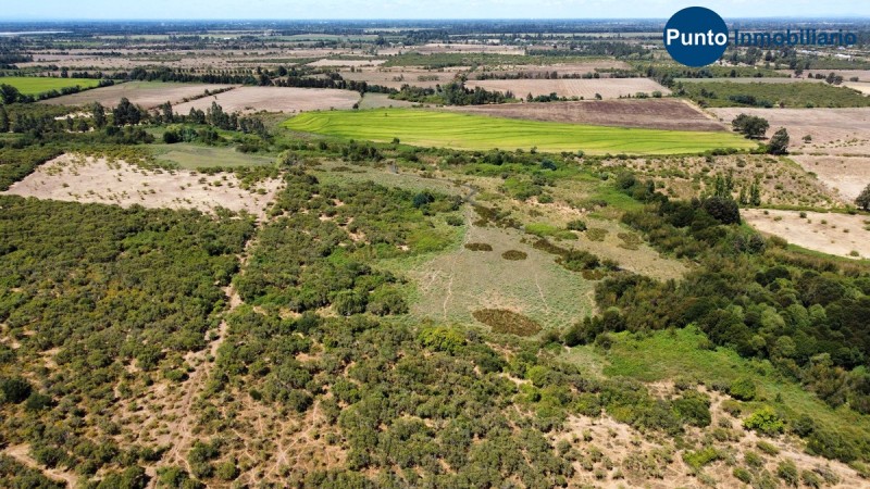 Campo Secano Gran Conectividad