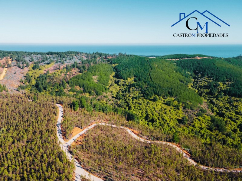 Venta Terrenos Proyecto los Molles, Pichilemu