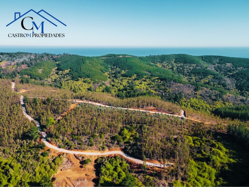 Venta Terrenos Proyecto los Molles, Pichilemu