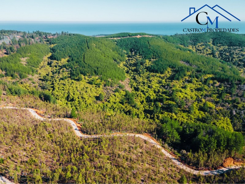 Venta Terrenos Proyecto los Molles, Pichilemu