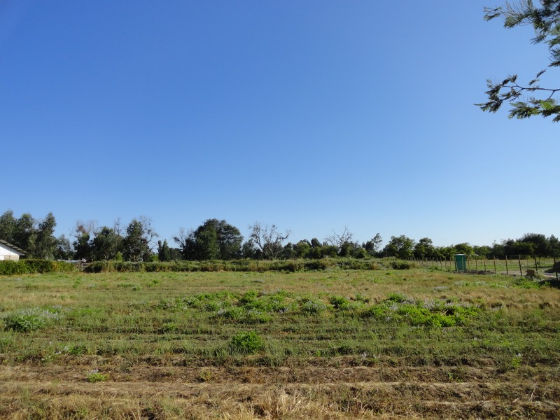 Parcela 5000M2 Linares