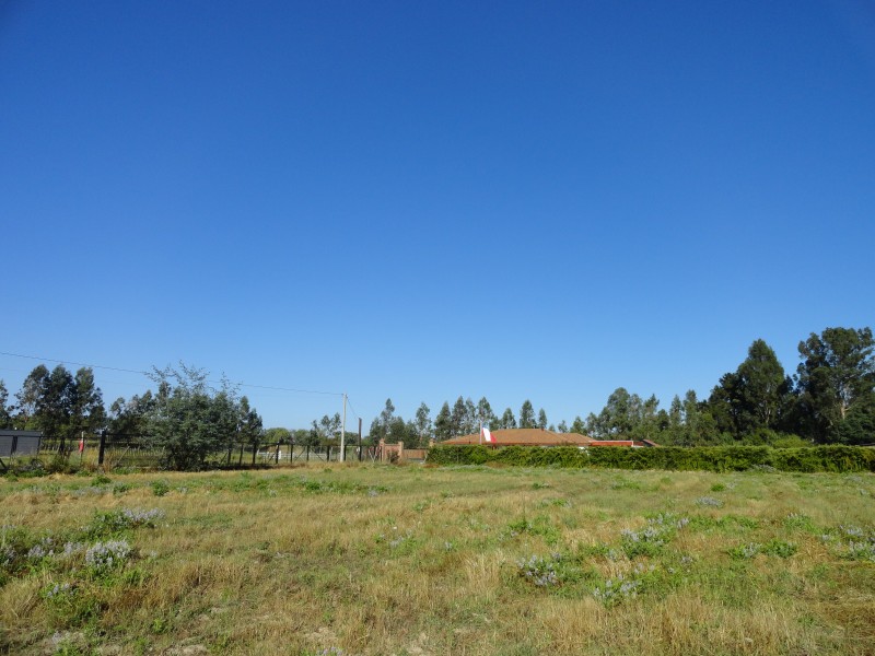 Parcela 5000M2 Linares