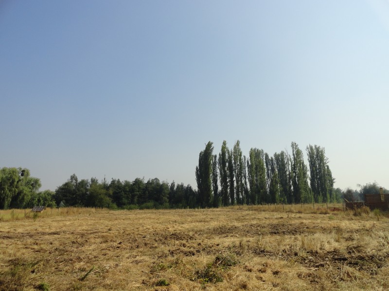 Parcela 5000M2 en Yerbas Buenas Ubicacion Privilegiada