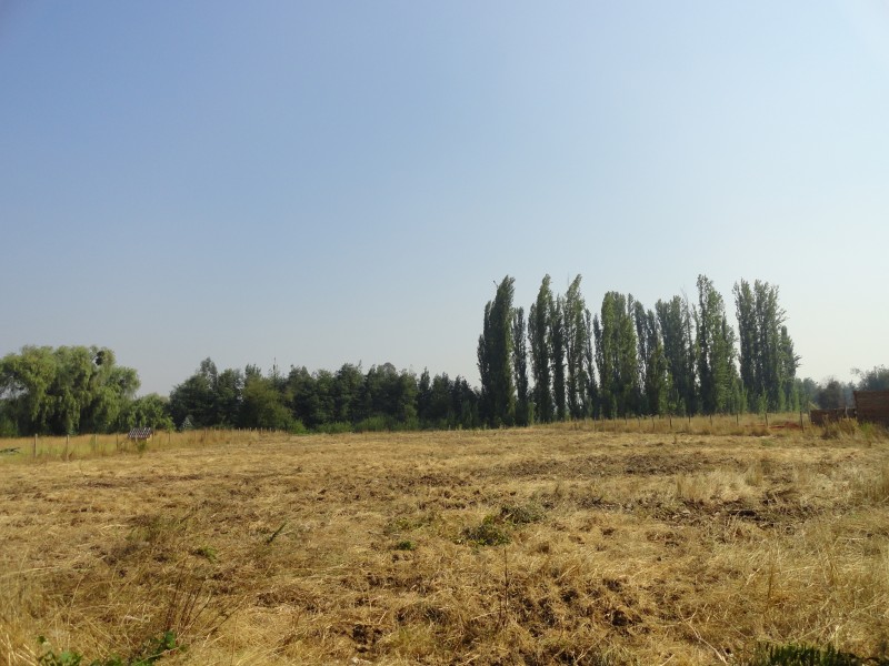 Parcela 5000M2 en Yerbas Buenas Ubicacion Privilegiada