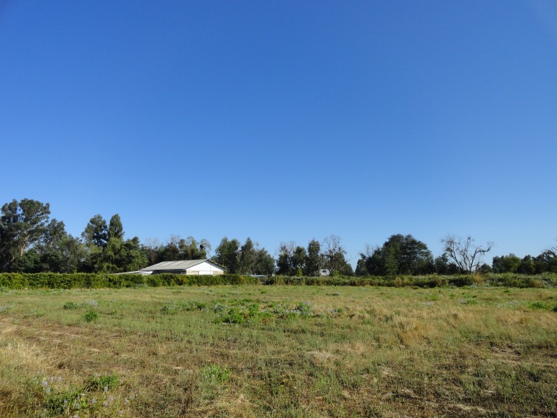 Parcela 5000M2 Linares