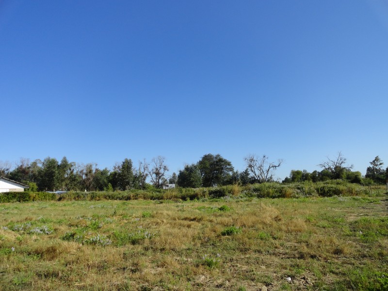 Parcela 5000M2 Linares