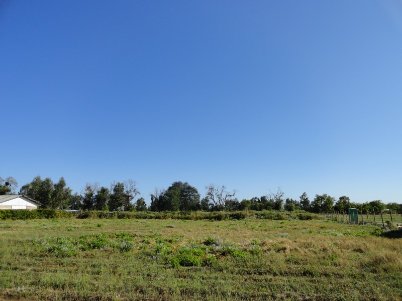 Parcela 5000M2 Linares