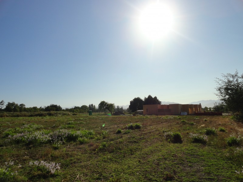 Parcela 5000M2 Linares