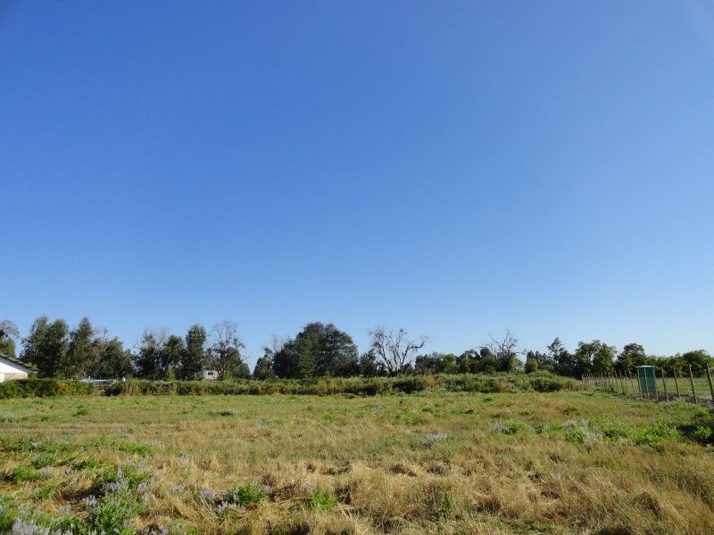 Parcela 5000M2 Linares