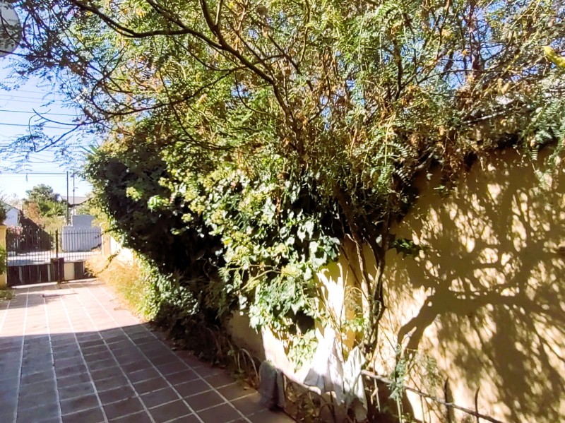 Casa Antigua, Quinta Avenida, San Miguel