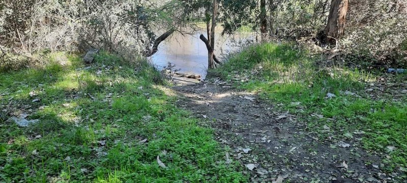 Parcela Con Rio - Sector Santa Elcira, los Ángeles